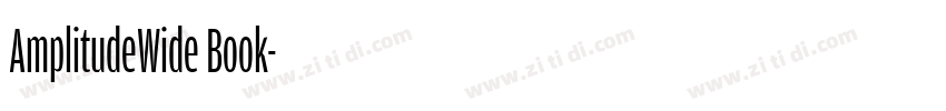 AmplitudeWide Book字体转换
